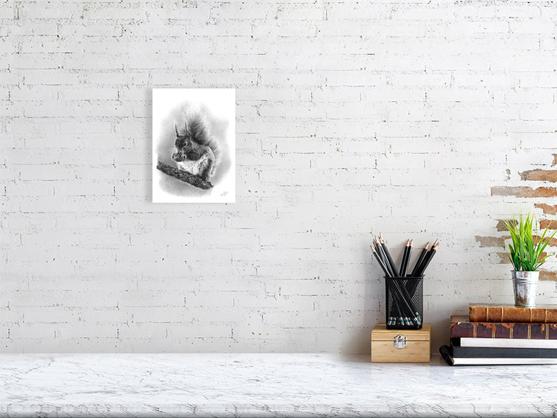 Hand-drawn graphite art of red squirrel on a tree nibbling a nut, fine art print inspured by the scottish highlands' woodland wildlife.
home-accessories wall-art prints nature-print poppies-print fine-art scottish-art unique-gift unique-art animal-lover