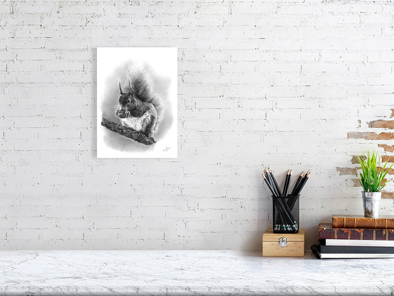 Hand-drawn graphite art of red squirrel on a tree nibbling a nut, fine art print inspured by the scottish highlands' woodland wildlife.
home-accessories wall-art prints nature-print poppies-print fine-art scottish-art unique-gift unique-art animal-lover