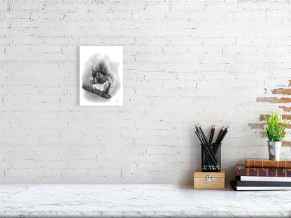 Hand-drawn graphite art of red squirrel on a tree nibbling a nut, fine art print inspured by the scottish highlands' woodland wildlife.

home-accessories wall-art prints nature-print poppies-print fine-art scottish-art unique-gift unique-art animal-lover