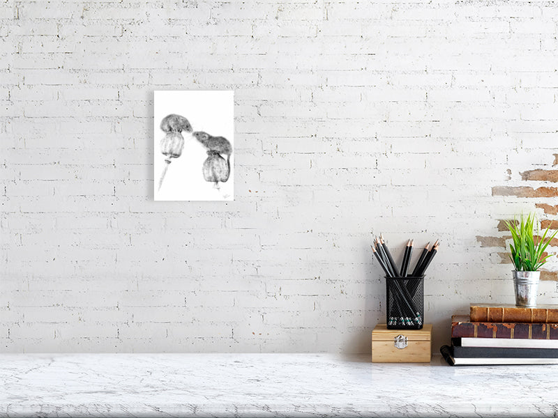 Whimsical graphite drawing of two mice balancing on poppies, almost touching noses. Fine art capturing tender wildlife moments.

Mouse print  mice print  home-accessories wall-art prints nature-print poppies-print fine-art scottish-art unique-gift unique-art animal-lover