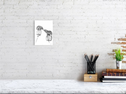 Whimsical graphite drawing of two mice balancing on poppies, almost touching noses. Fine art capturing tender wildlife moments.

Mouse print  mice print  home-accessories wall-art prints nature-print poppies-print fine-art scottish-art unique-gift unique-art animal-lover