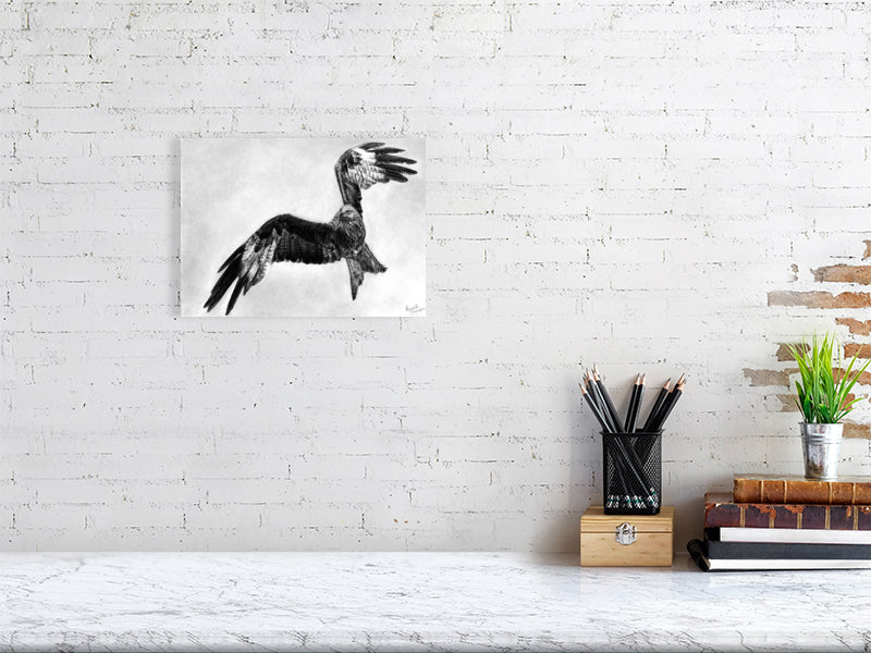 Graphite drawing of a red kite mid flight over Scottish Highlands, wings arched as if soaring, looking left. Fine art giclée print from the Highland Echoes Collection capturing motion, grace and quiet beauty.

home-accessories wall-art prints nature-print poppies-print fine-art scottish-art unique-gift unique-art animal-lover