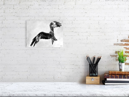 Graphite drawing of a red kite mid flight over Scottish Highlands, wings arched as if soaring, looking left. Fine art giclée print from the Highland Echoes Collection capturing motion, grace and quiet beauty.

home-accessories wall-art prints nature-print poppies-print fine-art scottish-art unique-gift unique-art animal-lover