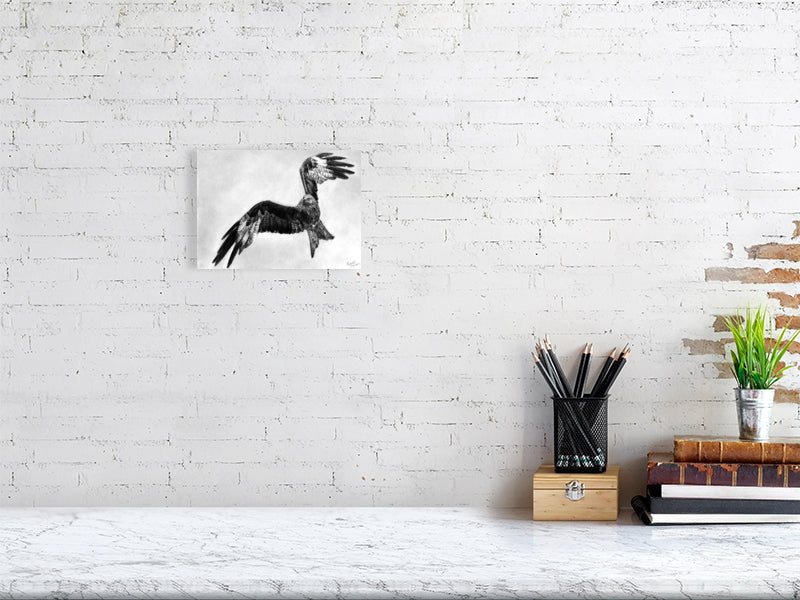 Graphite drawing of a red kite mid flight over Scottish Highlands, wings arched as if soaring, looking left. Fine art giclée print from the Highland Echoes Collection capturing motion, grace and quiet beauty.

home-accessories wall-art prints nature-print poppies-print fine-art scottish-art unique-gift unique-art animal-lover