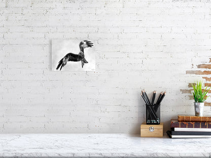 Graphite drawing of a red kite mid flight over Scottish Highlands, wings arched as if soaring, looking left. Fine art giclée print from the Highland Echoes Collection capturing motion, grace and quiet beauty.

home-accessories wall-art prints nature-print poppies-print fine-art scottish-art unique-gift unique-art animal-lover